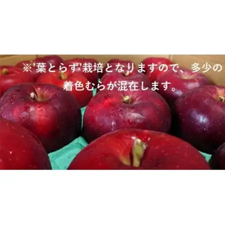 青森県産りんご　’はあと’紅玉　3K箱_果物・フルーツ りんご  リンゴ 林檎_【1425256】