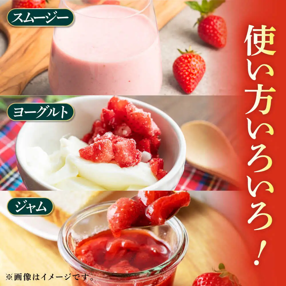 【6回定期便】高級 冷凍  いちご 加工用 約1kg（約500g×2袋）【伊藤農園】  果物 フルーツ イチゴ いちご 苺 熊本県 特産品 オーガニック 有機 恋みのり 冷凍 [ZBB016]