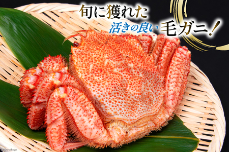 【期間限定発送】かに 三陸産浜ゆで毛ガニ 約500g×3 計1.5kg 