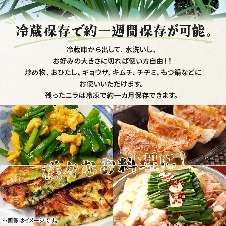 ニラ 1kg 定期便 6回 ニラ Won-0016