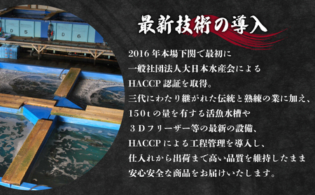 天然ふぐ鍋 4～5人前 冷凍 ふぐ ID