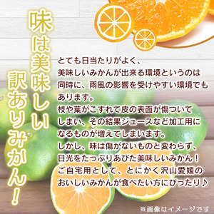 でん助農園の温州みかん（極早生）訳あり 約10kg MDN0010
