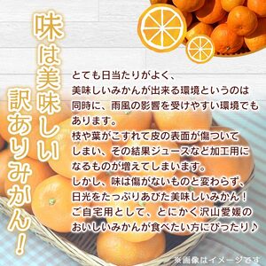 でん助農園の温州みかん（中生・南柑20号） 訳あり 20kg MDN0012