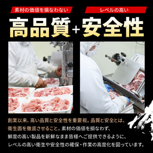 ＜訳あり＞【A4～A5】博多和牛焼肉切り落とし(肩ロース・バラ)(500g) 国産 九州産 福岡県産 牛肉 和牛 黒毛和牛 ヤキニク やきにく 焼き肉 お肉【MEAT PLUS】as08-028