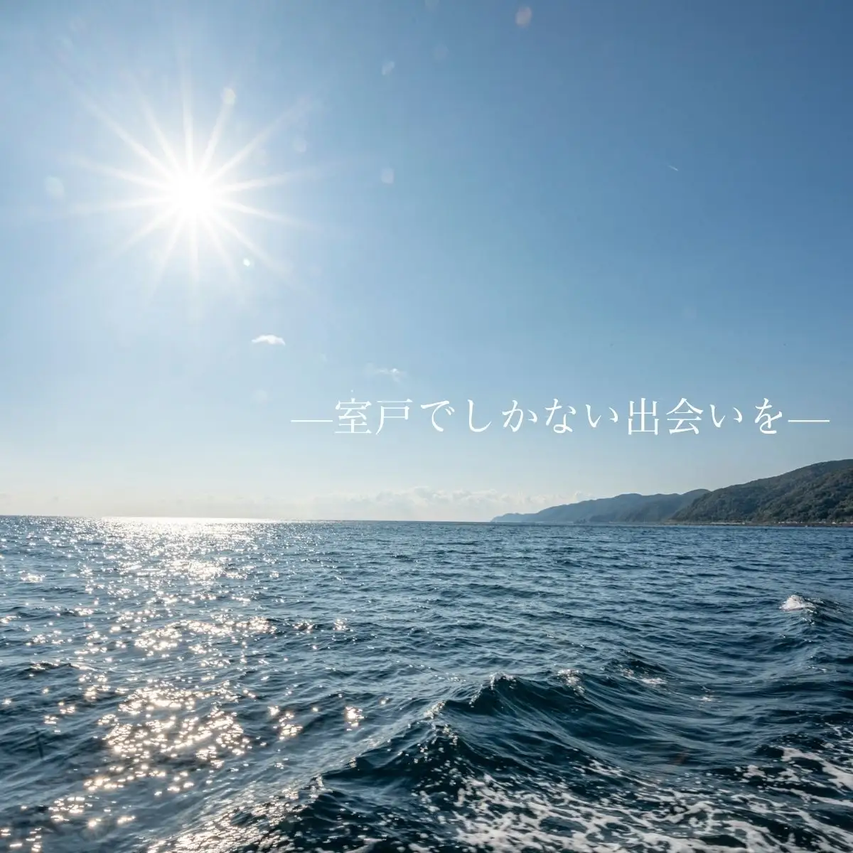 室戸からの招待状「海来に乗船していざ深海生物漁業体験」試食付  体験 夏休み 旅行 乗船 設備あり 未知の体験 思い出 甲殻類 ジオパーク 太平洋 クルージング