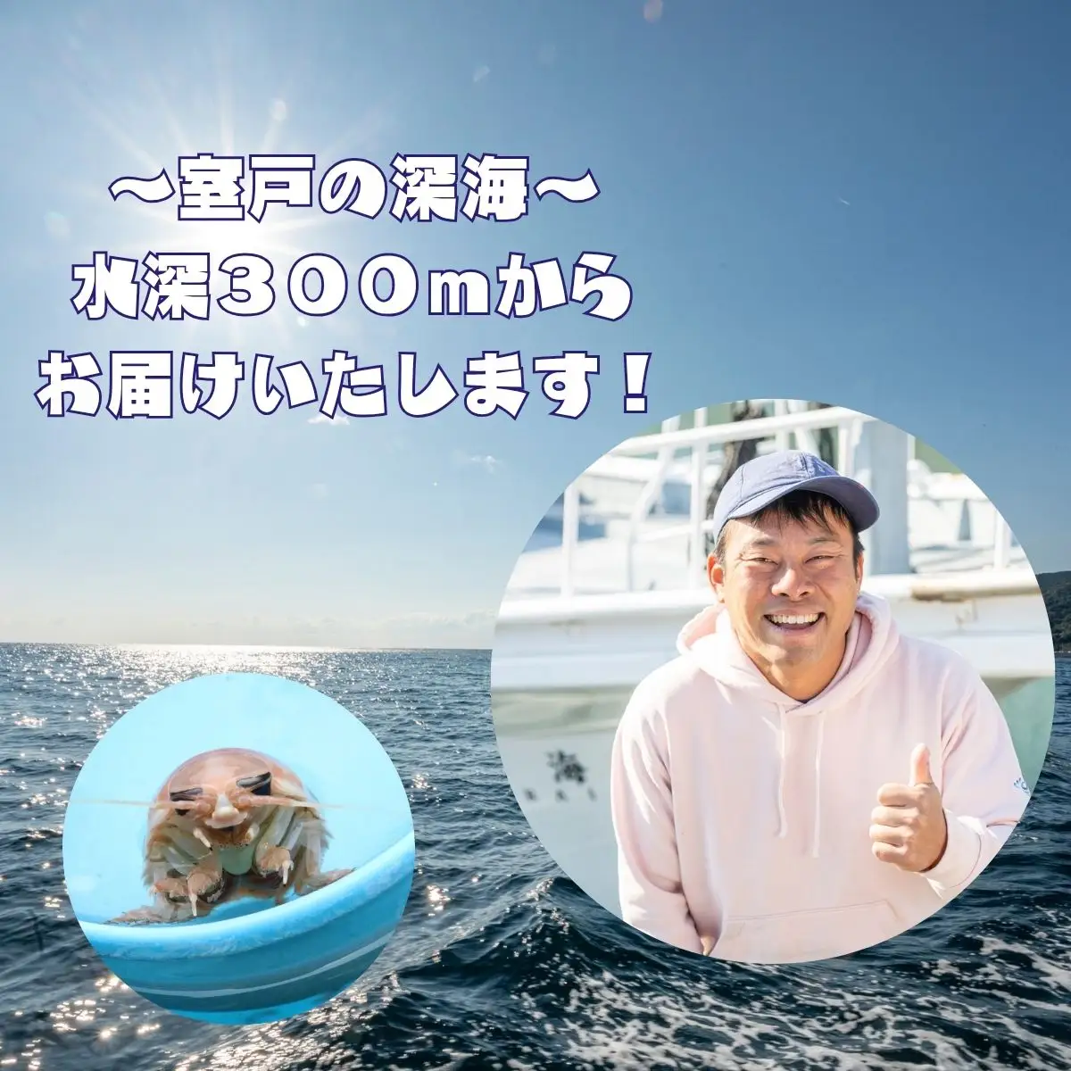 【テレビで取り上げられました！】「深海王国」室戸からお届けする「活オオグソクムシ」【３匹】話題性あり 甲殻類 エビ・カニの仲間 高知県 珍しい 自然 太平洋 ジオパーク 海産物 魚介類 グソクムシ FN-Limited-PR