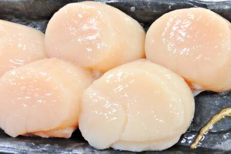 大粒 ホタテ貝柱 生食可 500g 