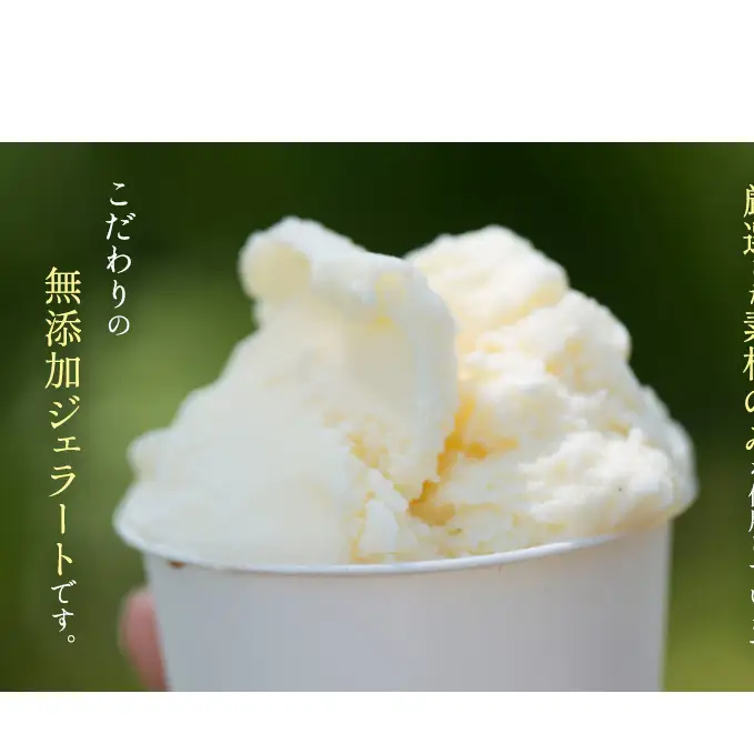 無添加 ジェラート・シャーベット詰合せ 100ml×12個 スイーツ アイスクリーム セット 