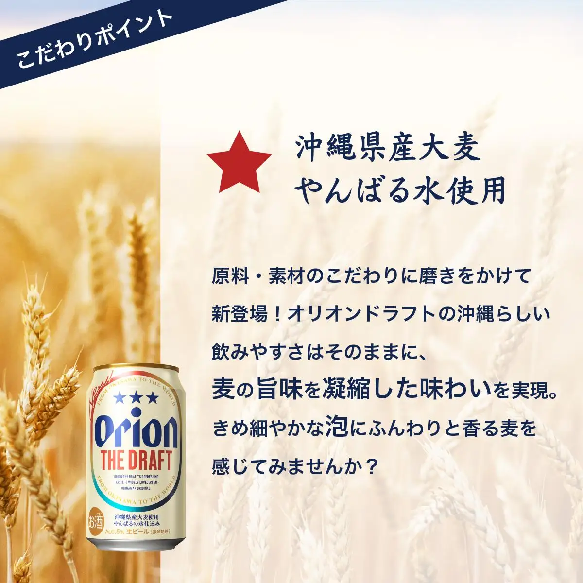 ビール オリオン ザ・ドラフト 350ml 24缶