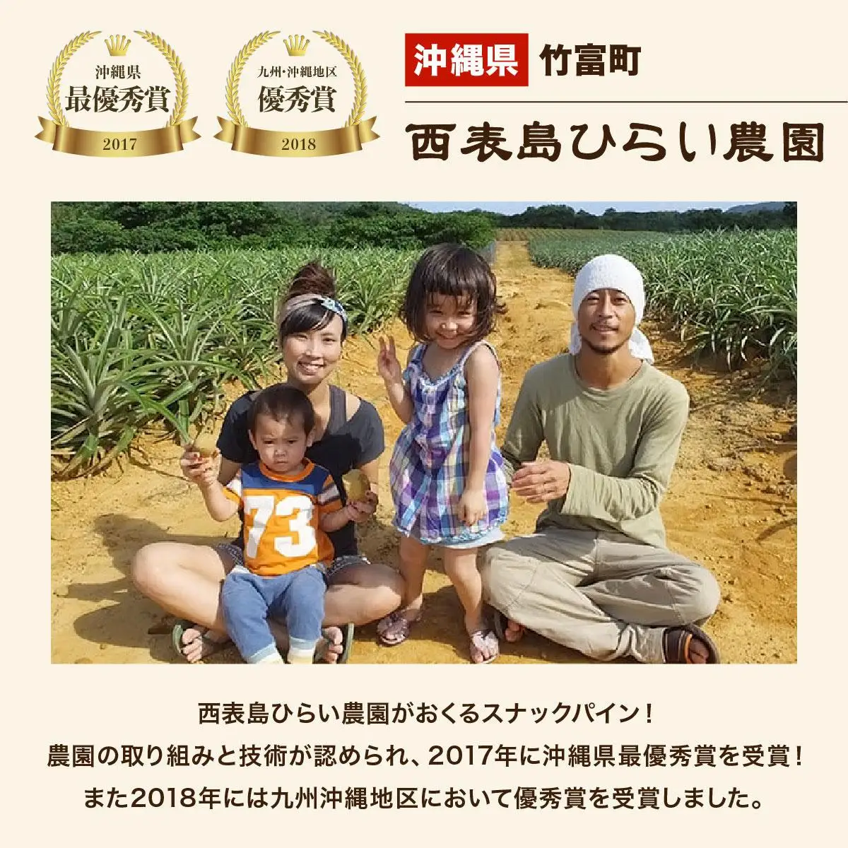 【2027年 先行予約】スナックパイン 約2kg 