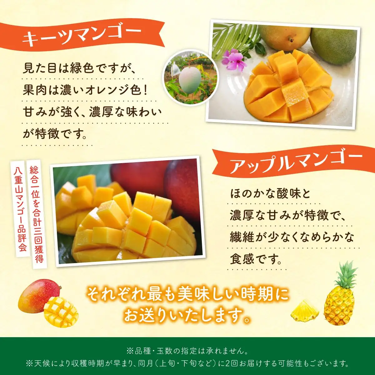 定期便 5回 パイナップル マンゴー 