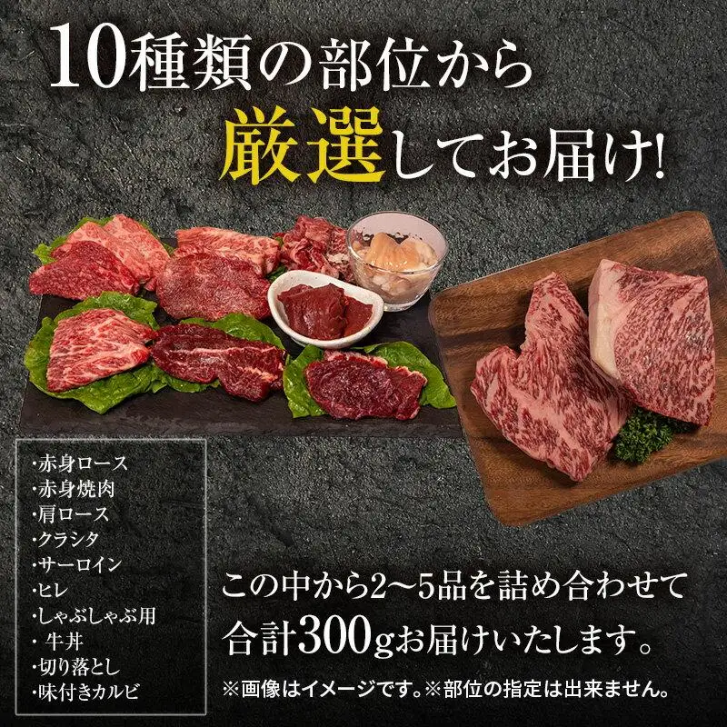 焼肉 セット 満喫セット 