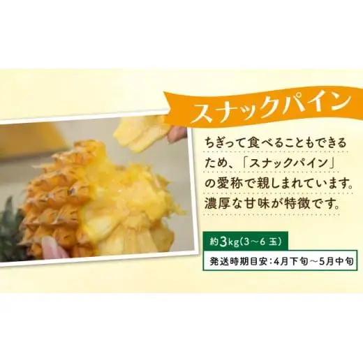 定期便 4回 パイナップル 旬果便 