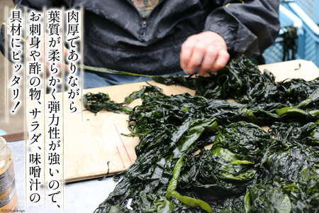 1等級 塩蔵 肉厚 わかめ 150g×2 