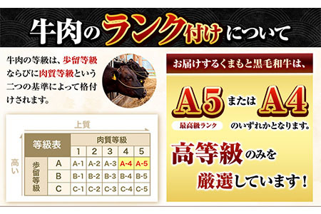 くまもと黒毛和牛 サーロイン リブロース 内モモ 希少 500g