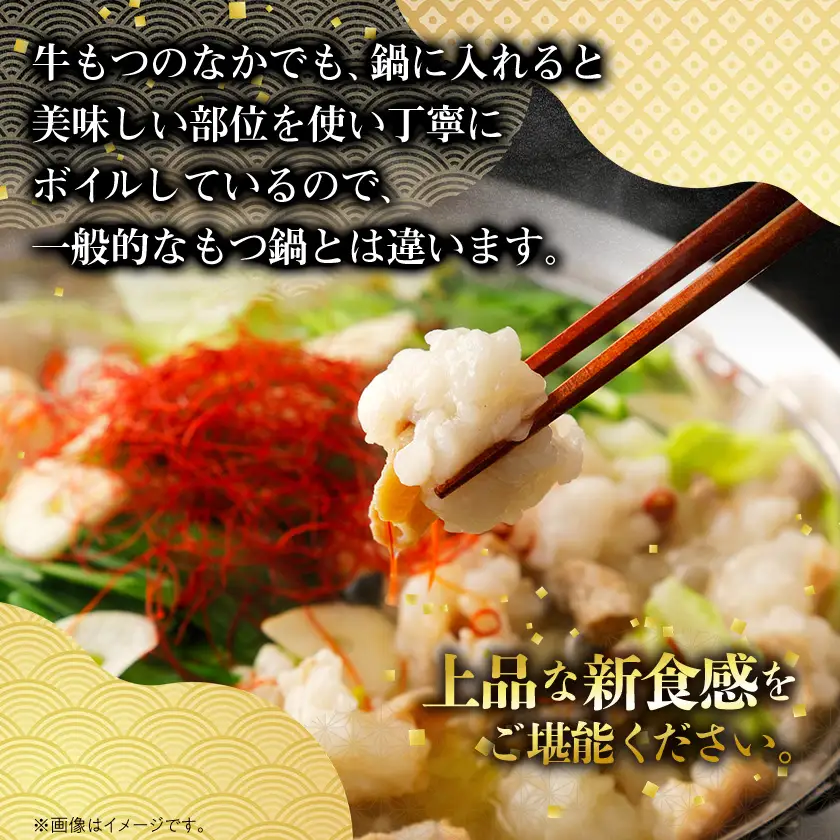 【のし付き】焼肉薩摩 特製もつ鍋(5～6人前)_肉 もつ鍋 牛肉 鍋 鍋セット  惣菜・加工品 肉 鍋 なべ ナベ_【配送不可地域：離島】【1042975】