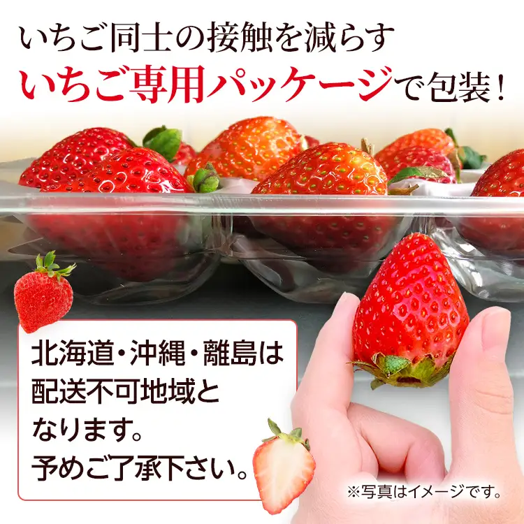 【全3回定期便】農家直送 朝採り新鮮いちご【博多あまおう】約270g×4パック いちご