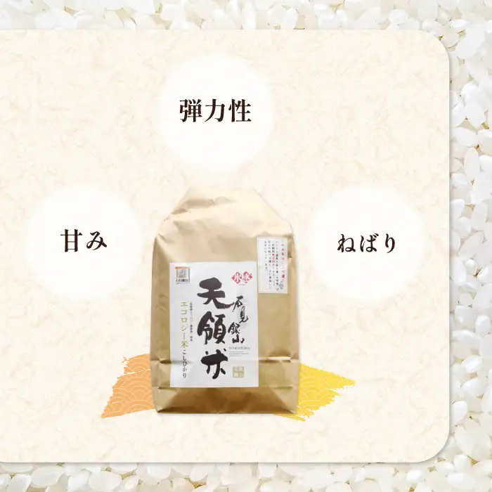 石見銀山天領米（氷感熟成エコロジー米こしひかり）10kg（5kg×2袋）【コシヒカリ 10kg こしひかり お米 精米 島根県産 大田市産 米 氷感熟成 エコロジー米 減農薬 減化学肥料】