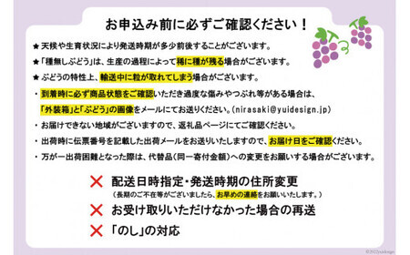【2026年発送】【当日収穫！当日出荷！】ピオーネ（種なし）約2kg