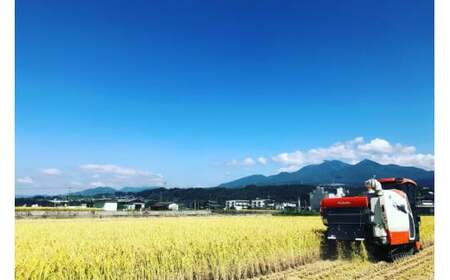 おいしい お米 コシヒカリ 5kg 精米