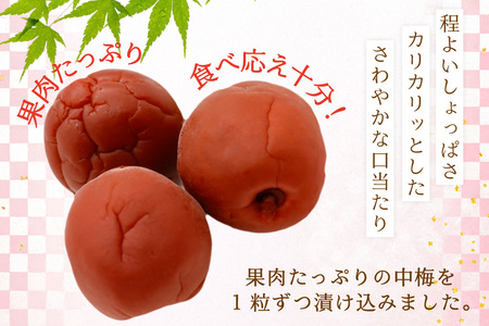 【カリカリ】梅恋し 10個×2袋 小梅 カリカリ梅干し 個包装