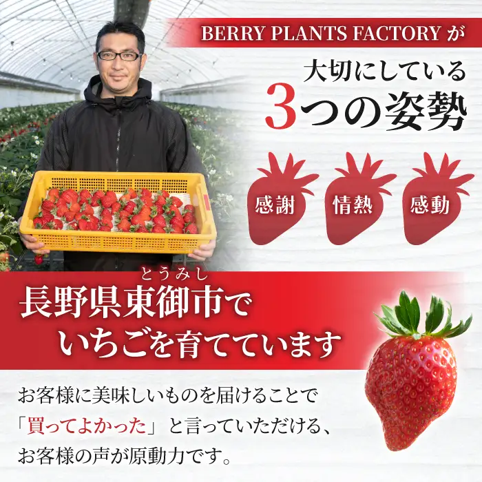 長野県産 いちご「とちおとめ」1kg以上｜BERRY PLANTS FACTORY 東御市