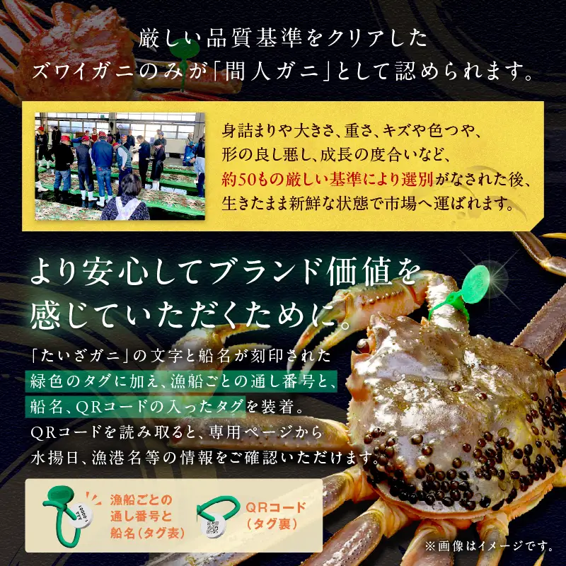 かに卸問屋がお届け・自社釜ゆで！幻のゆで間人ガニ 1ｋｇ～1.1ｋｇ超 特大サイズ（1月～3月発送）／北畿水産 かに