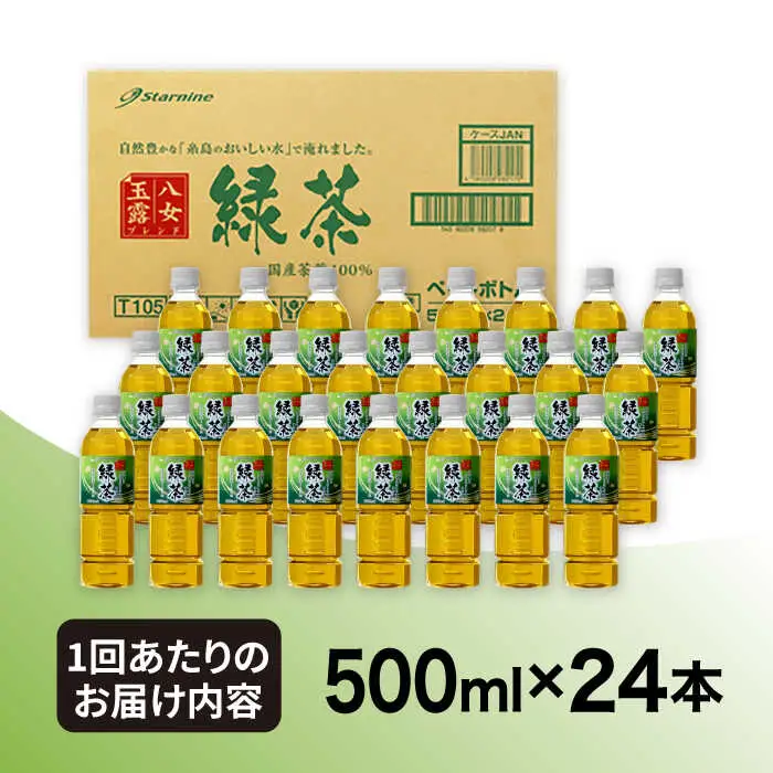 【全12回定期便】八女 玉露入り 緑茶 500ml × 24本  糸島市 / スターナイン お茶 ペットボトル [ARM017]