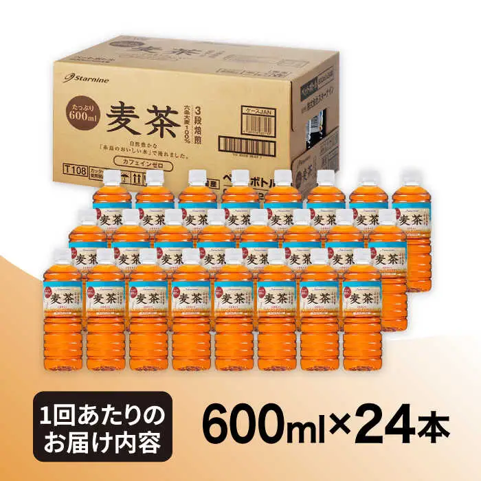 【全12回定期便】麦茶 600ml × 24本  糸島市 / スターナイン お茶 ペットボトル [ARM020]