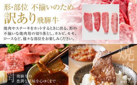 訳あり 飛騨牛 焼肉 切り落とし 500g 冷凍真空パック | 切り落とし MZ013