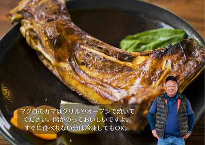 キハダマグロ まるごと１尾 2kg以上 （2～3kg個体差によります）＜カネアリ水産＞