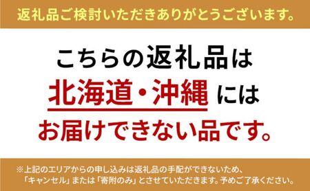 メダカ 黒出目透明鱗 小ぶりM〜L 選別あみ付 メダカ【10匹 あみ2本】