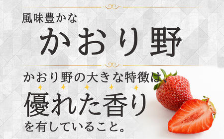 【先行予約】Linda Lindo BERRY 2Lサイズ 12粒x2 計24粒（2027年1月中旬ころより順次発送予定） | いちご かおり野 よつぼし 深紅の美鈴