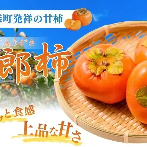 森の治郎柿（10玉） 果物 両角柿園 静岡県産 次郎柿