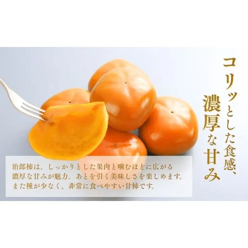 柿 遠州森鈴木農園 治郎柿 10～14玉 フルーツ 柿