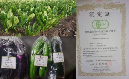 秋野菜詰合せ 有機栽培さつまいもにんじん群馬県産 秋野菜詰合せ【計6kg(各3kg)】