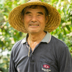 レモン【先行受付】【2026年12月以降発送】【栽培期間中農薬・除草剤不使用】離島 佐木島！レモン 約1.5kg   広島 三原 佐木島 鷺島みかんじま 017007