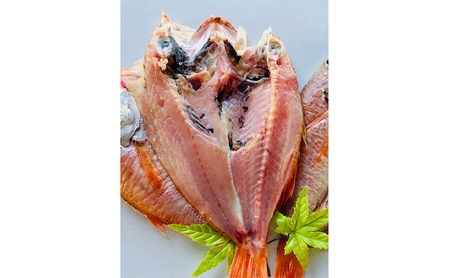 【数量限定】脂のり抜群！黒部産のどぐろ干物セット（3～4枚）約0.9～1.0kg 富山県黒部市/産地直送 旬 魚介 魚 さかな 加工品 朝食 朝ごはん おかず 夕飯 晩御飯 白身魚のトロ 幻の高級魚 