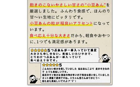 A228 小豆あん（粒あん） 普通サイズ たいやき （10個入×2袋） 合計20個