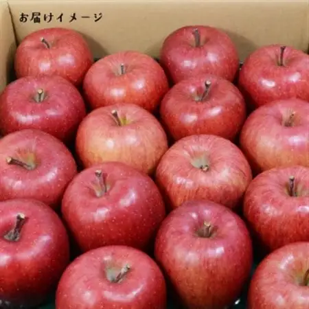 青森県黒石産サンふじ贈答用 約5kg_果物・フルーツ りんご  リンゴ 林檎_【1267839】