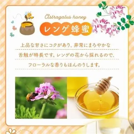 国産レンゲ蜂蜜600g【1186136】