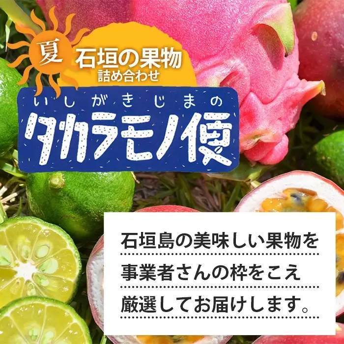 《2027年夏に順次発送予定》石垣島の夏「果物」詰め合わせ～夏のタカラモノ果物便～