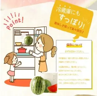 紀州和歌山産 小玉スイカ「ひとりじめ」 2玉 ※2027年5月下旬頃〜6月下旬頃に順次発送 【uot402-r-2】