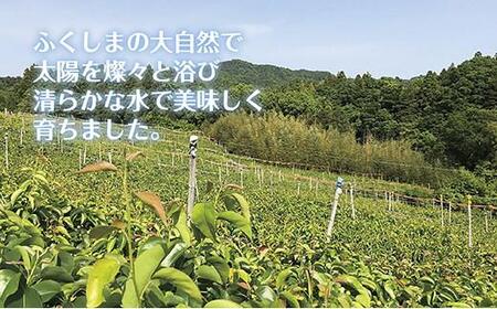 《先行予約》いわき市産梨　豊水 約5kg（約9～13個）
