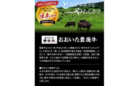 おおいた豊後牛の贅沢ローストビーフ120g×2個 _1082R