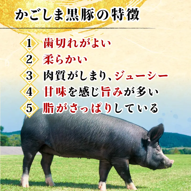 【10営業日以内に発送】かごしま黒豚 しゃぶしゃぶ 鍋 ダシ と バラエティー セット K091-007 肉 豚肉 惣菜 総菜 冷凍 スピード配送 最短 すぐ届く お急ぎ