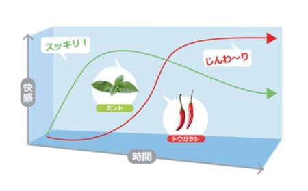 耳そうじローション耳洗潔 プロ用 イヤークリーナー耳そうじローション【20ml×2本】