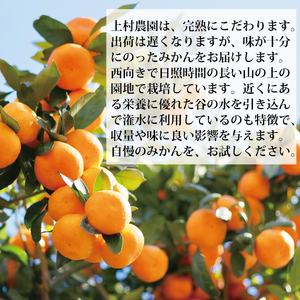 上村農園 訳あり 完熟早生みかん 青秀 SS-LLサイズ 10kg