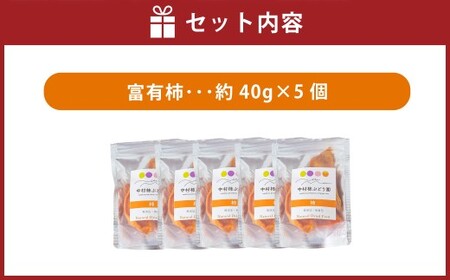 中村柿ぶどう園 ナチュラルドライフルーツ (柿) 約40g×5個