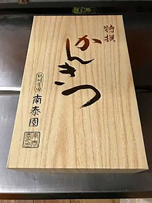 年内発送 完熟早生 有田みかん 化粧箱 特秀 S サイズ 45玉入 和歌山 南泰園 みかん